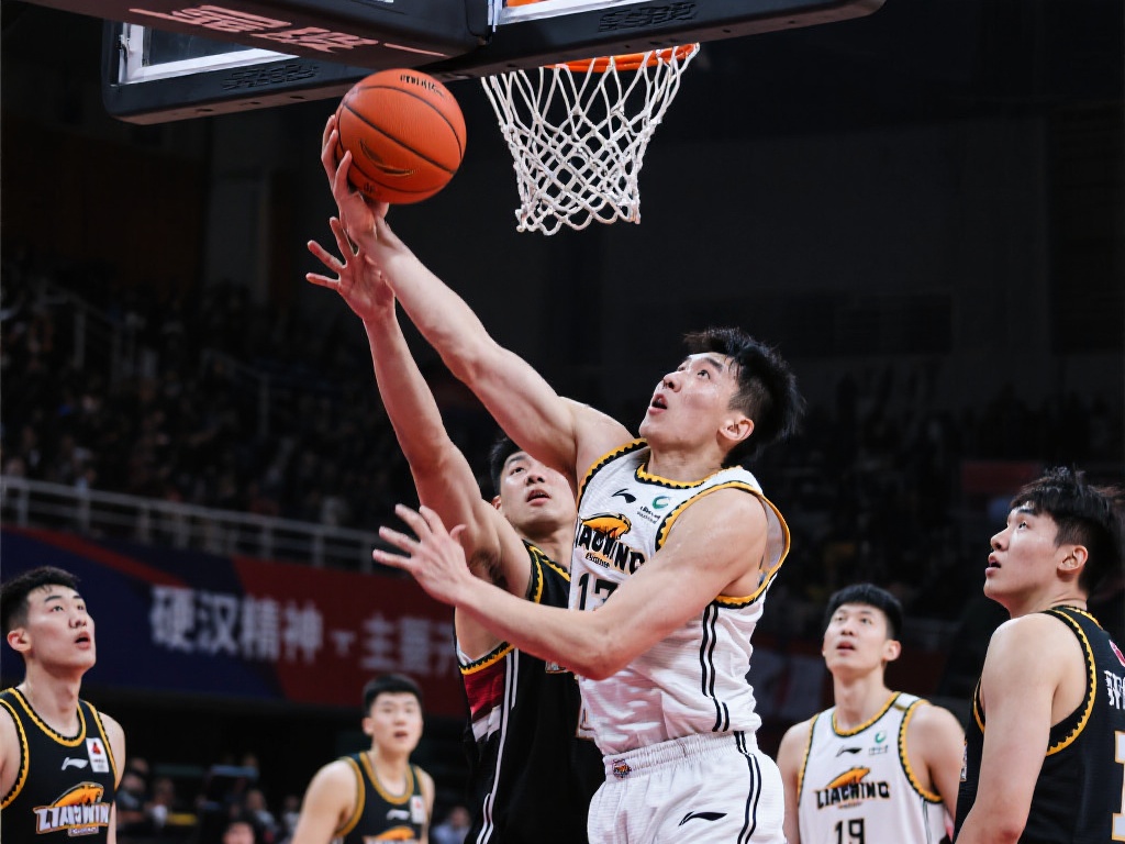 迷对球队的 迷对球队的